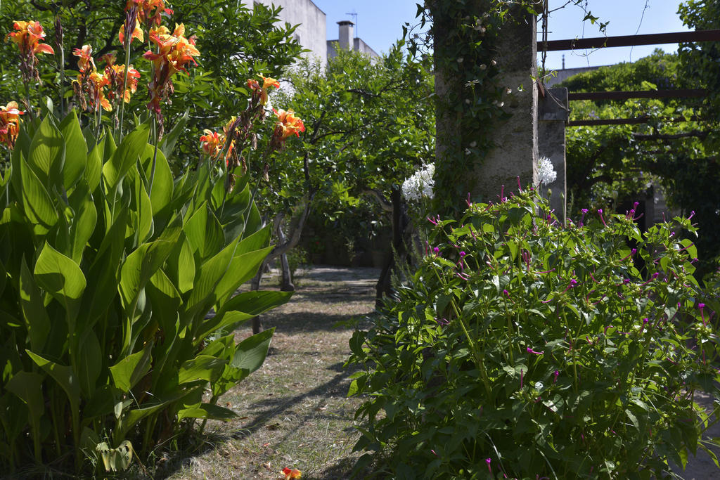 Villa Casale Del Forno à Andrano Extérieur photo